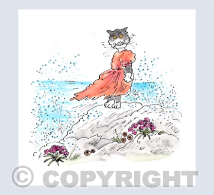 Lamorna Cove kitty