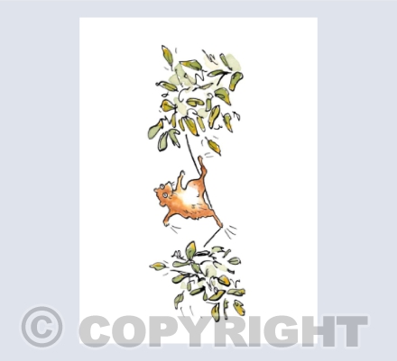 The tightrope walking mouse