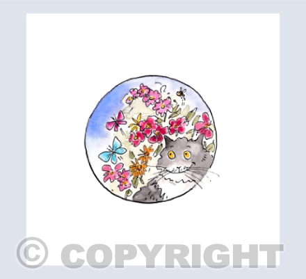 Watching the butterflies