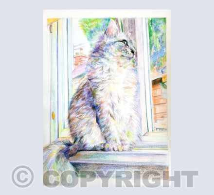 Freya at the Window