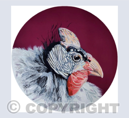 Guinea Fowl Card