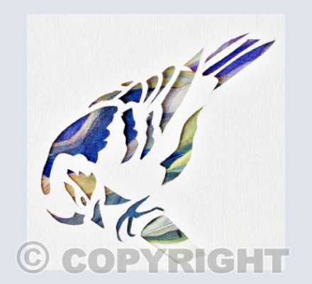 Bluebird