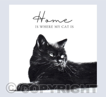 Black Cat - Home is where my cat is