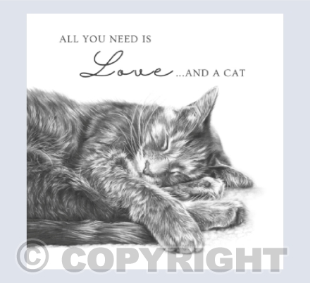 All you need is love and a cat!
