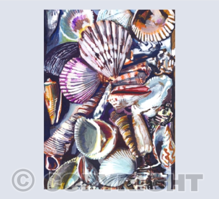 Shell Card Portrait