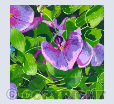Pink Sweet Pea Gouache Painting Card