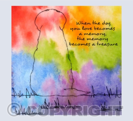 Golden Retriever rainbow.