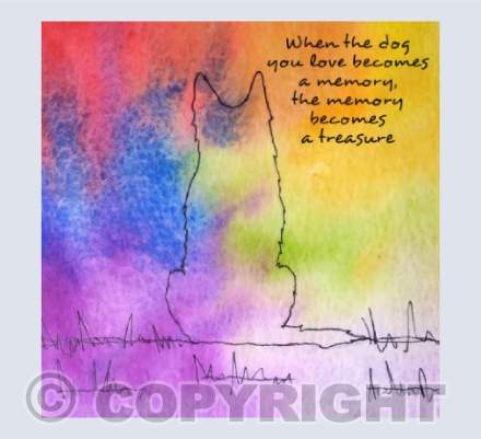 German Shepherd rainbow.