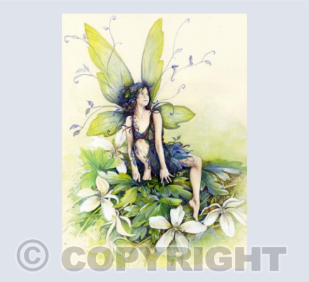 Woodland Fairy