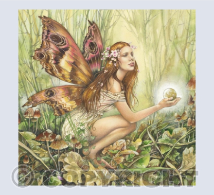 Fairy Wishes