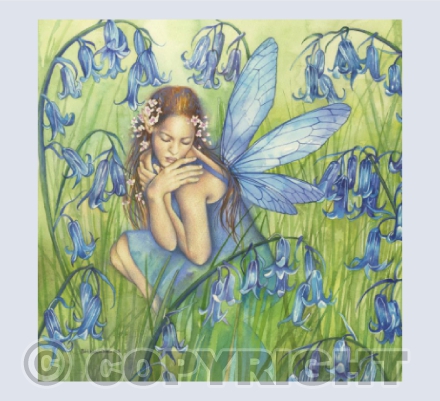 Bluebells