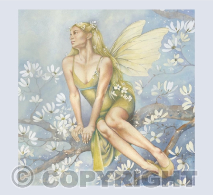The Winter Fae