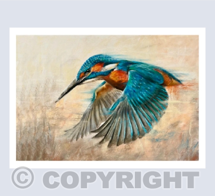 Blue Winged Sapphire