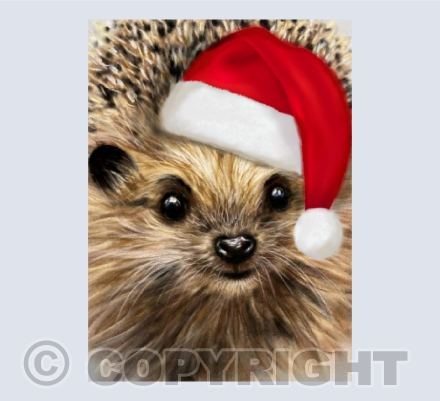 Hedgehog Xmas Card