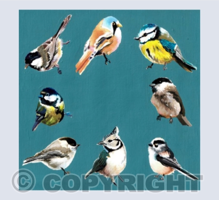 Family of Tits