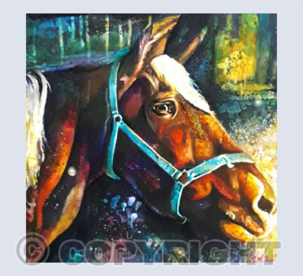 Oh beautiful horse, you're a Pony no more