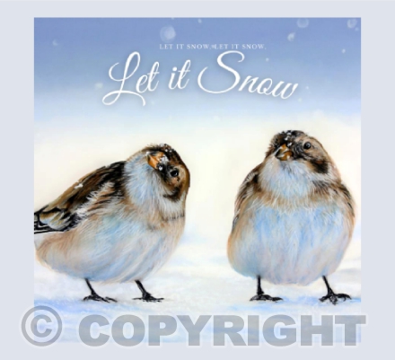 Christmas Edition - Winter Walks - A Snow Bunting Painting