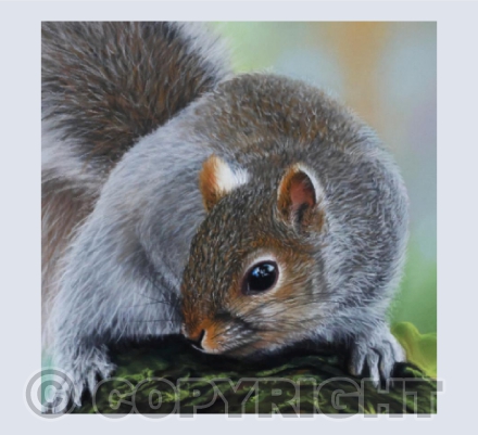 Forager - Grey Squirrel Pastel Painting