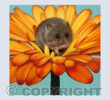 Flower Bed - Harvest Mouse in Pastel