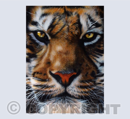 "Defiance" - Sumatran Tiger Acrylic Painting