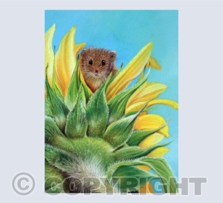 Sunflower Mouse