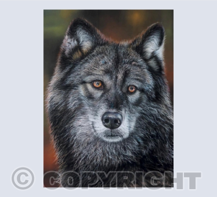 Kindred - An original pastel painting of a Wolf
