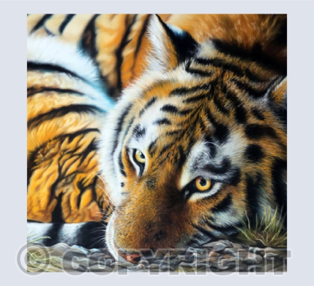 In Reverie - Pastel Painting of a Tiger