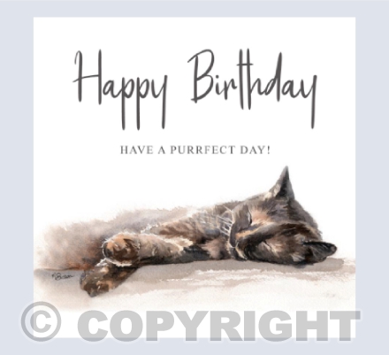 Tortoiseshell Cat 'Fudge'