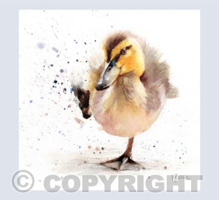 'Splash' Baby Duckling