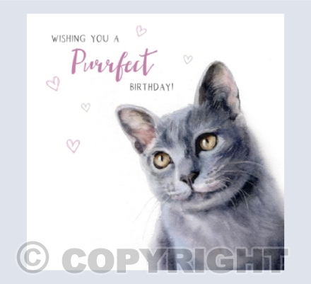 Russian Blue - Birthday Card
