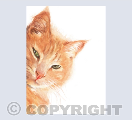 'Ezou' - Ginger Cat in Watercolour