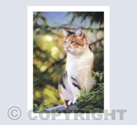 'Cat on the Roof' - in Pastel