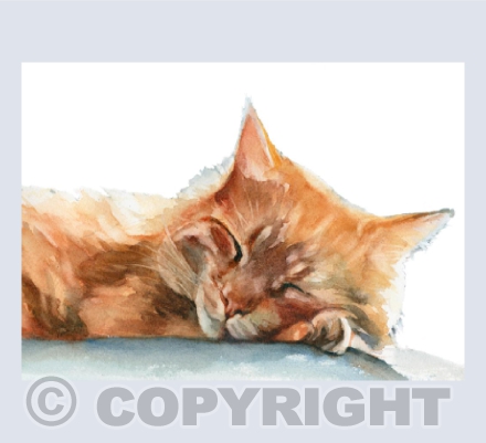Sleeping Ginger Cat - Watercolour
