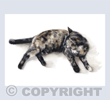 'Pepper' Tortoiseshell Cat in Watercolour