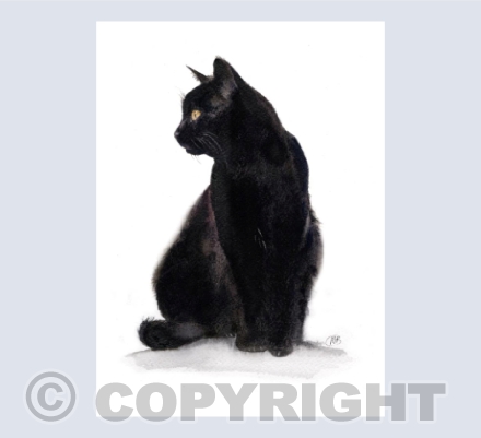 Black Cat - in Watercolour