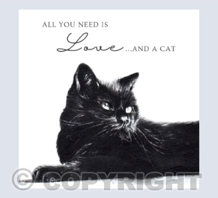 Black Cat - All you need is love