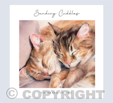 'Ezou & Dayelle' - 'Sending Cuddles'