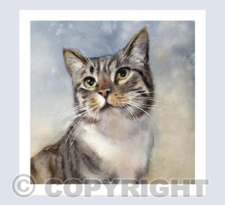 'Tabby Cat' in watercolour