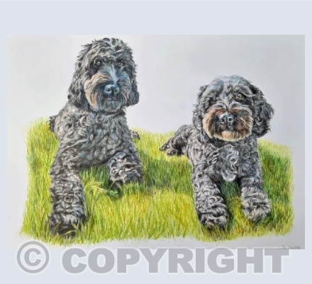 Lola & Nephi