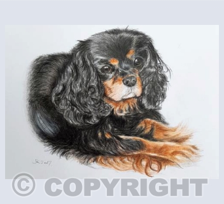 Murphy 2