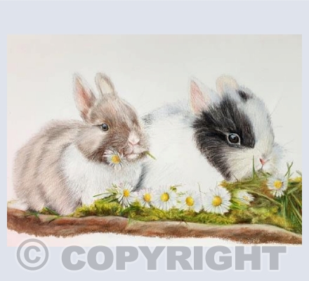 Bunnies