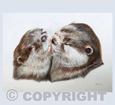 Kissing Otters