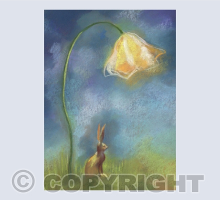 By the Light of a Flower