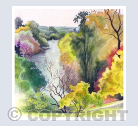 Above Terrace Gardens, Richmond
