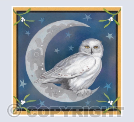 Midnight Owl