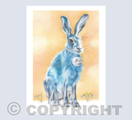 Lunar Hare