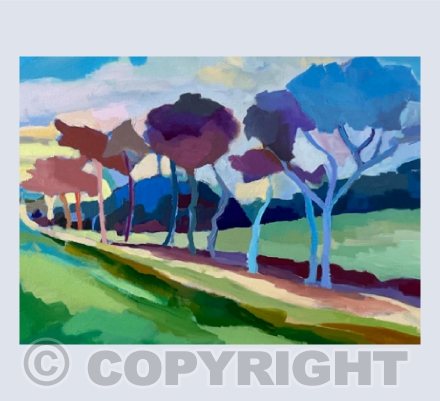 Sunrise walk to Pentle Bay, Tresco.