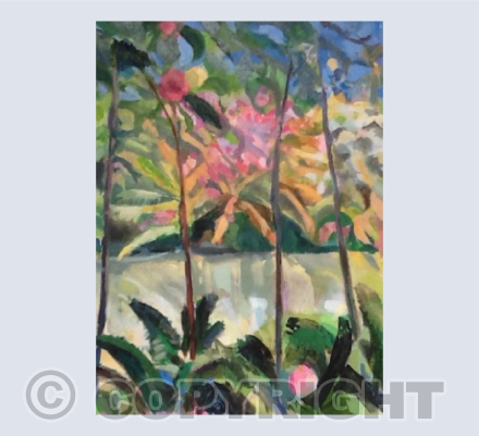 Tropical Gardens Heligan 2