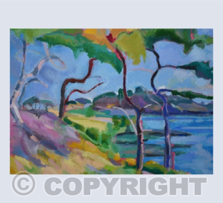 Cornish Cedars 1