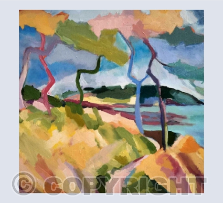 Blustery Cornish Coastal Walk